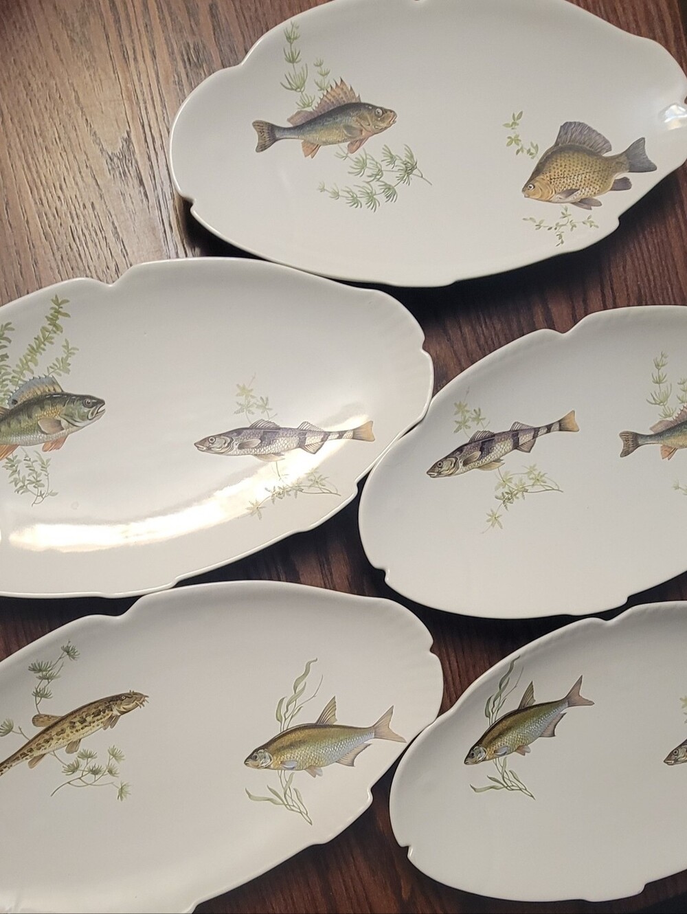 Set Of 5 Beautiful Fish Serving Plated With Scalloped Edges. Each Approx 8×15"